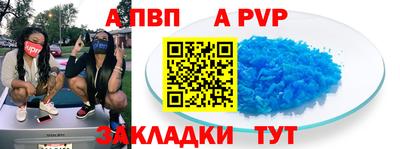 прущие грибы Кингисепп