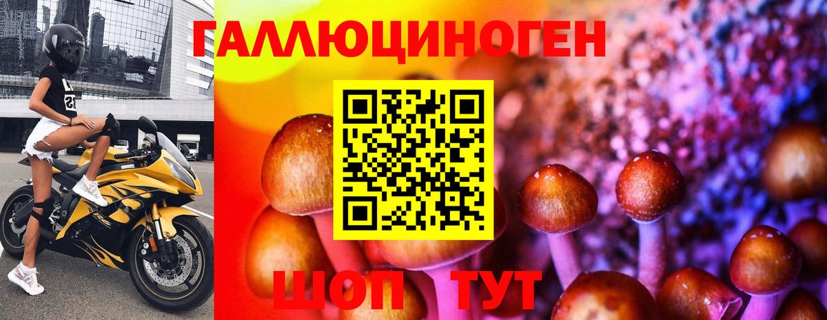 Корсаков  Псилоцибиновые грибы MAGIC MUSHROOMS  Псилоцибиновые грибы Cubensis  Вход с VPN 