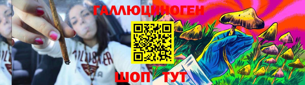 Галлюциногенные грибы мицелий Корсаков